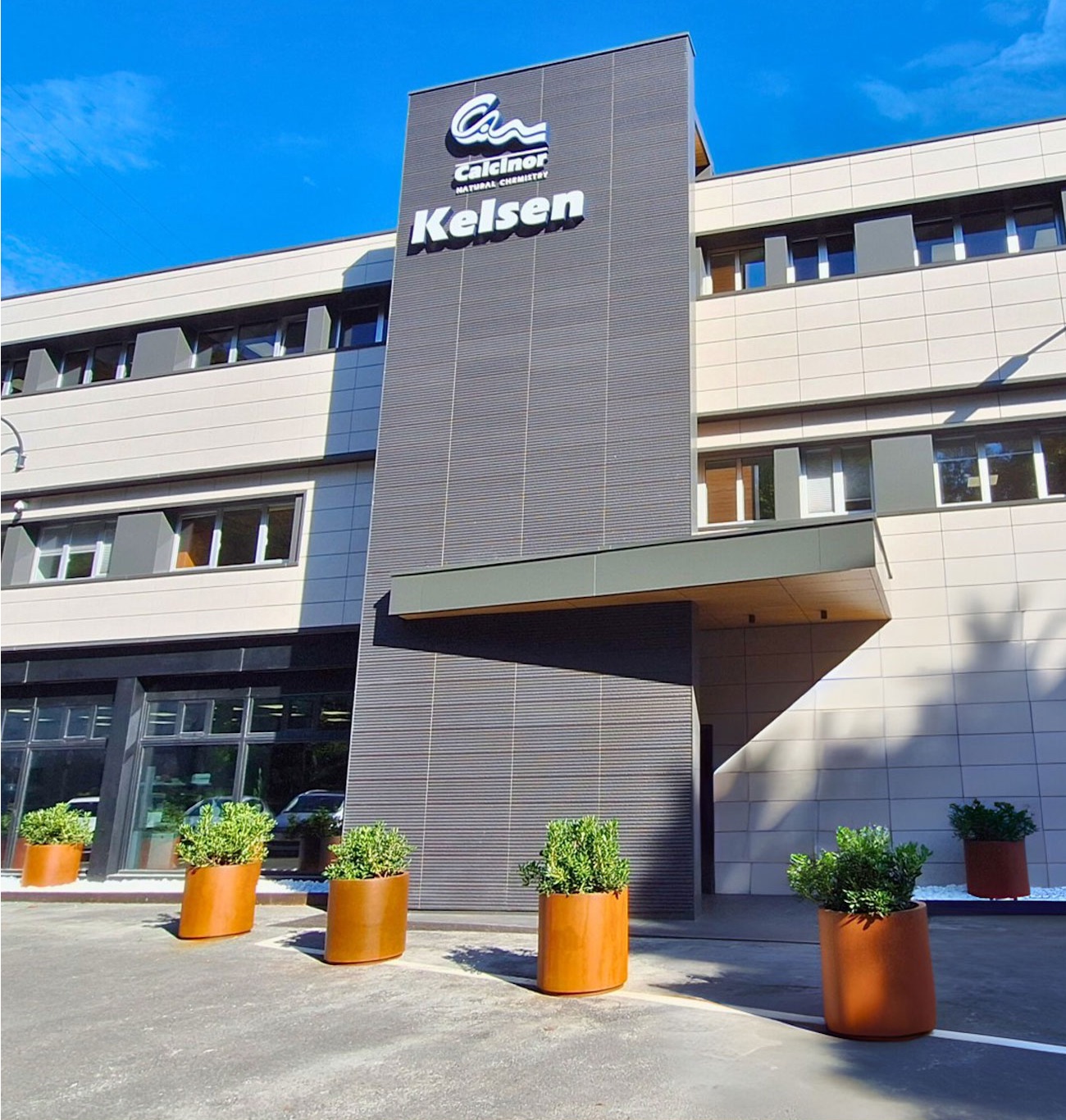 Kelsen